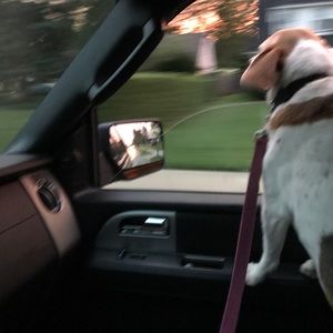 Meet your Posher, Elellen